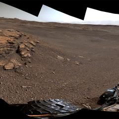 Curiosity at Teal Ridge