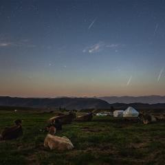 The Perseids and the Plough
