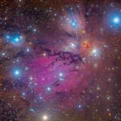 NGC 2170: Angel Nebula Still Life