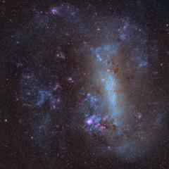 The Large Cloud of Magellan