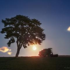 A Harvest Moon