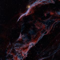 Along the Western Veil