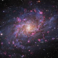The Hydrogen Clouds of M33