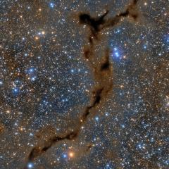Dark Seahorse in Cepheus
