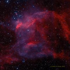 NGC 3572 and the Southern Tadpoles