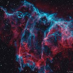 NGC 6995: The Bat Nebula