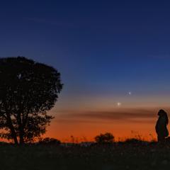 Venus and Jupiter on the Horizon