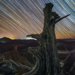 Lines of Time