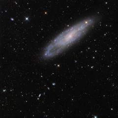 NGC 247 and Friends