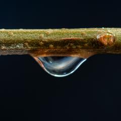 A Little Drop of Galaxy