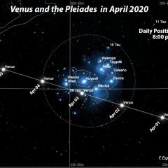 Venus and the Pleiades in April