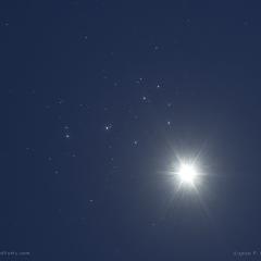 Venus and the Sisters