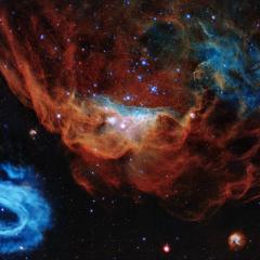 Hubble’s Cosmic Reef