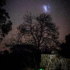 Ghost Fungus to Magellanic Cloud