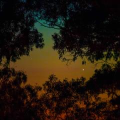 Mercury Meets Crescent Venus