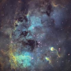 The Tadpoles of IC 410