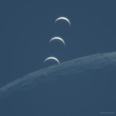 Moon Occults Venus