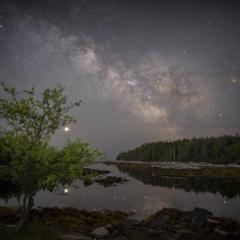 The Galaxy, the Planet, and the Apple Tree