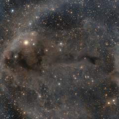 Lynds Dark Nebula 1251