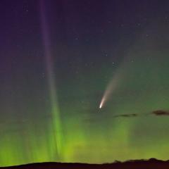 NEOWISE of the North