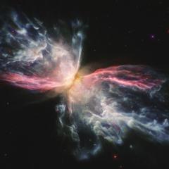 Iron in the Butterfly Nebula