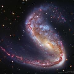 NGC 2442: Galaxy in Volans