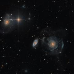 Shell Galaxies in Pisces