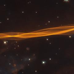 Filaments of the Cygnus Loop