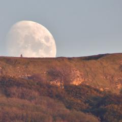 Biking to the Moon