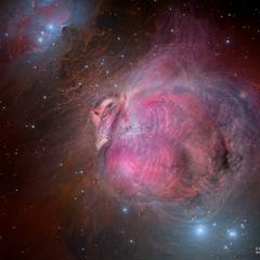 The Great Turkey Nebula
