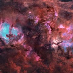 Cygnus Without Stars