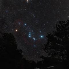 Northern Winter Night