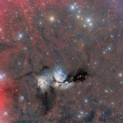 M78 Wide Field