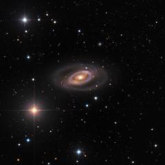 Spiral Galaxy NGC 1350