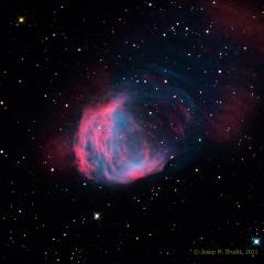 The Medusa Nebula