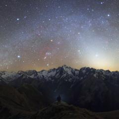 Zodiacal Night