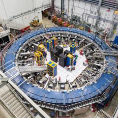 Confirmed Muon Wobble Remains Unexplained