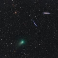 The Comet, the Whale, and the Hockey Stick
