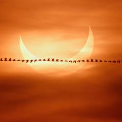 Eclipse Flyby