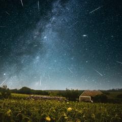 Three Perseid Nights
