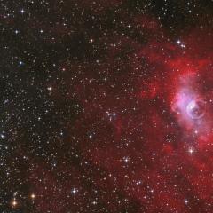 The Bubble and the Star Cluster