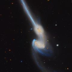 NGC 4676: When Mice Collide