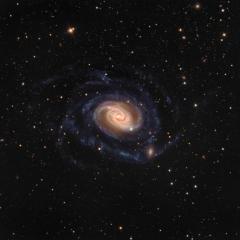 NGC 289: Swirl in the Southern Sky
