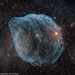 Sharpless 308: The Dolphin-head Nebula