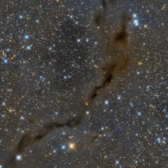 The Dark Seahorse in Cepheus