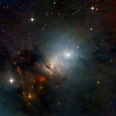 NGC 1333: Stellar Nursery in Perseus