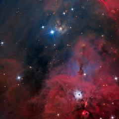 South of Orion