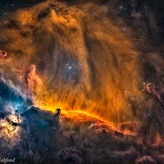 A Lion in Orion