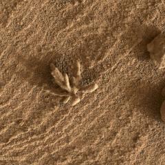 A Flower Shaped Rock on Mars