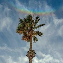 When Rainbows Smile